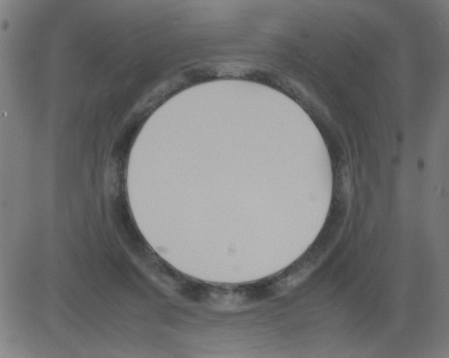 X0000081470311200702092346