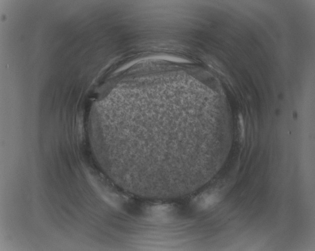 X0000081470312200702092346