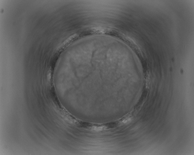 X0000081470314200702092346