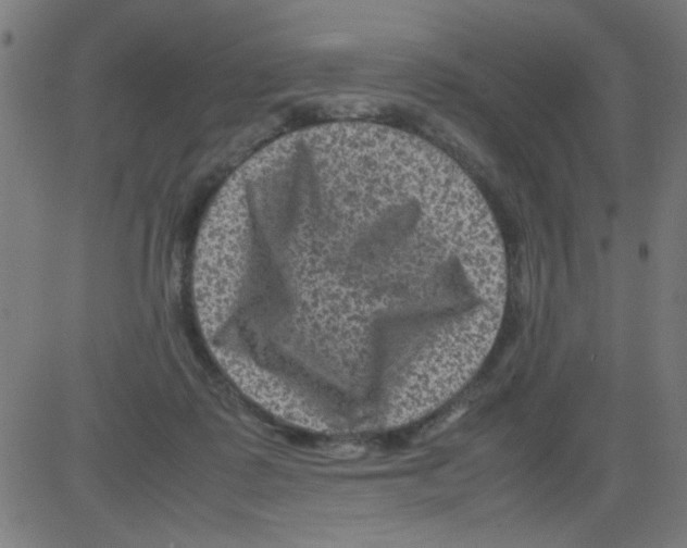 X0000081470315200702092346