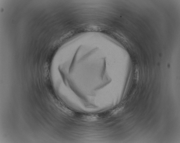 X0000081470318200702092346