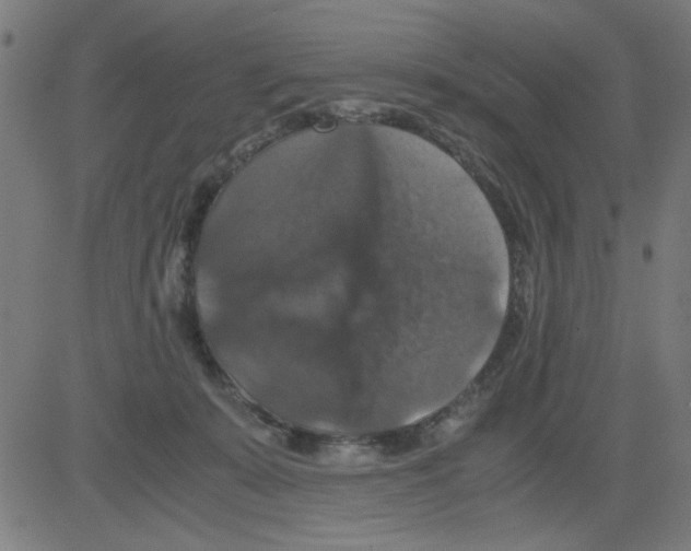 X0000081470319200702092346