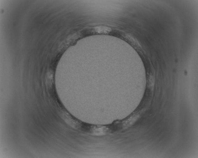 X0000081470321200702092346