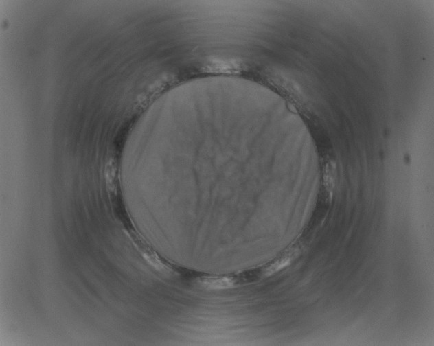 X0000081470322200702092346