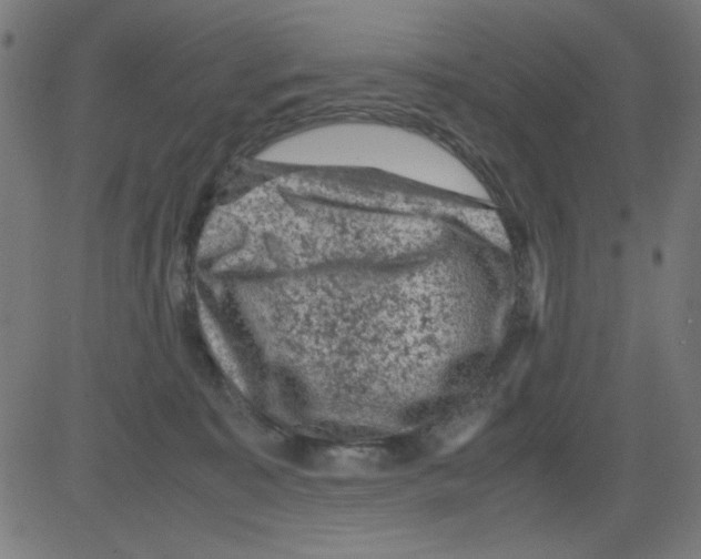 X0000081470323200702092346