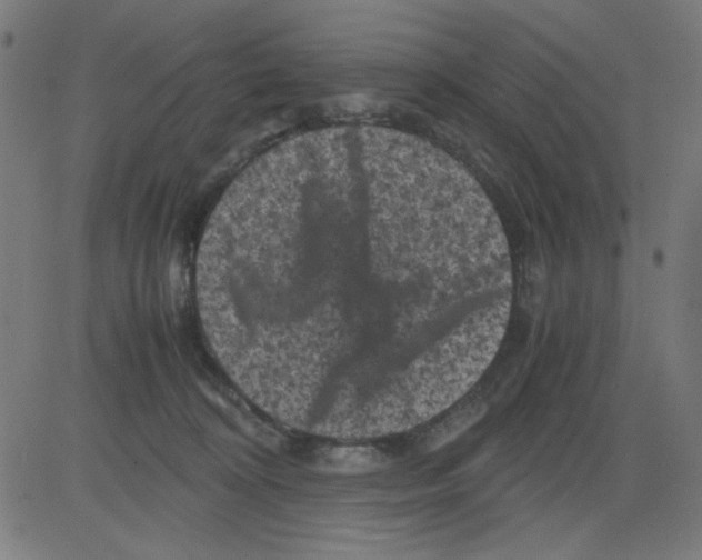 X0000081470324200702092346