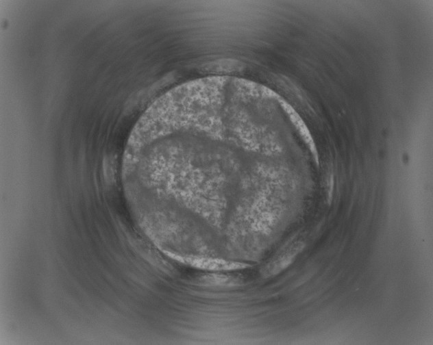 X0000081470326200702092346