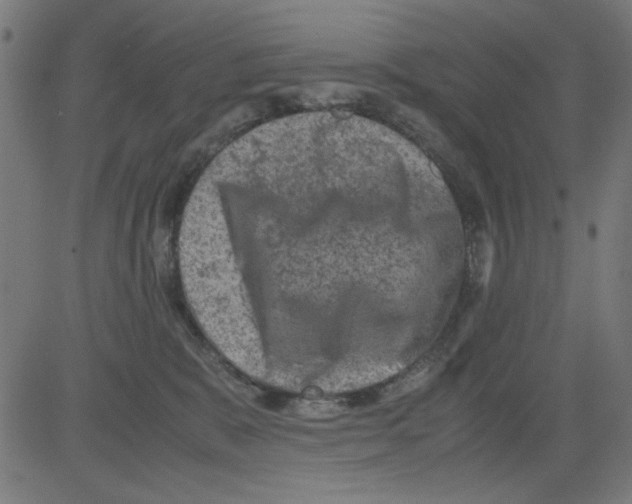 X0000081470327200702092346