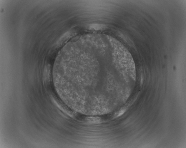 X0000081470328200702092346