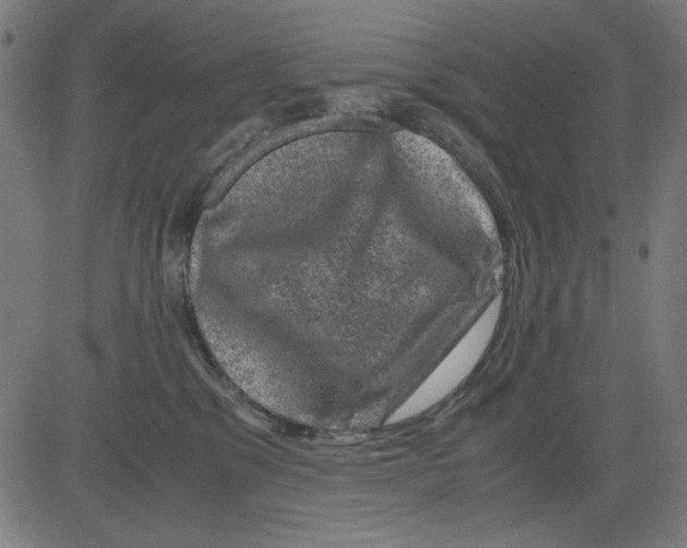 X0000081470329200702092346