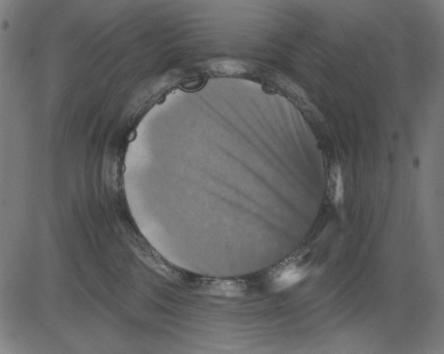 X0000081470330200702092346