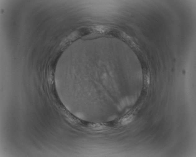 X0000081470331200702092346