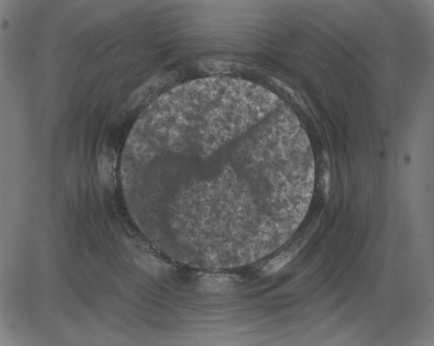 X0000081470332200702092346