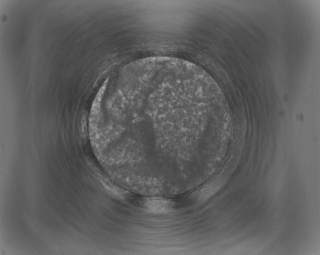 X0000081470336200702092346