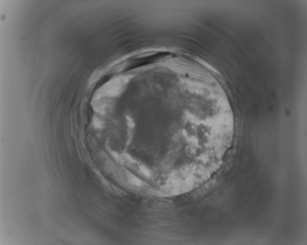 X0000081470337200702092345