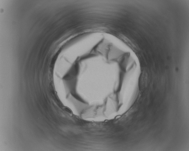 X0000081470338200702092345