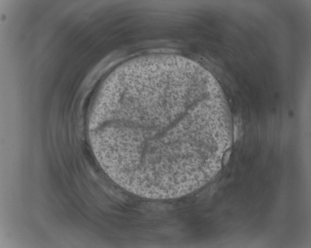 X0000081470339200702092345