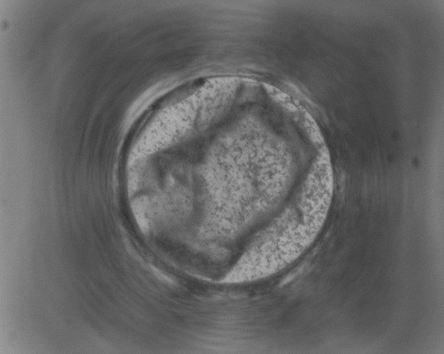 X0000081470340200702092345