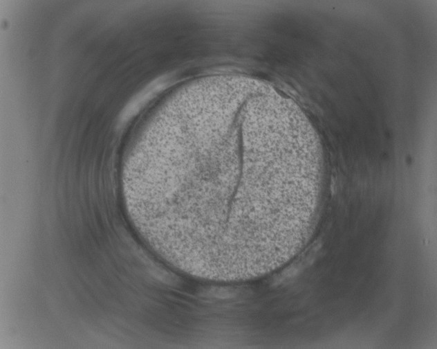 X0000081470341200702092345