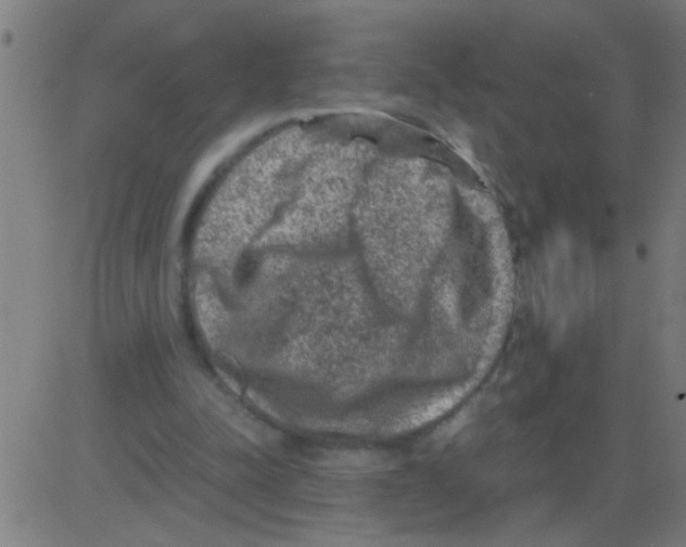 X0000081470342200702092345