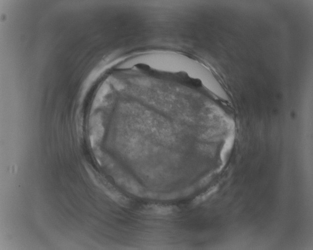 X0000081470343200702092345