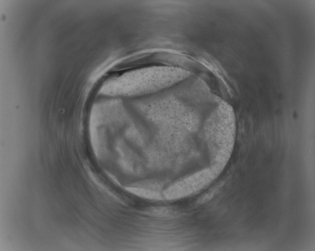 X0000081470344200702092345