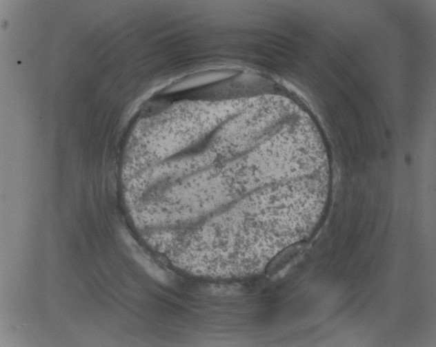 X0000081470345200702092345