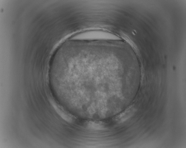 X0000081470346200702092345