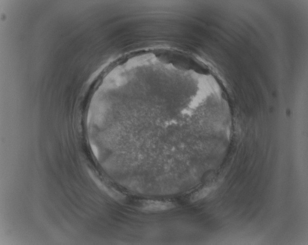 X0000081470347200702092345