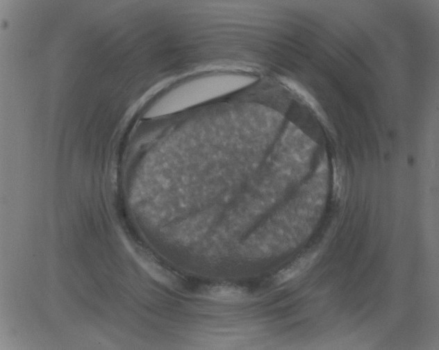 X0000081470348200702092345