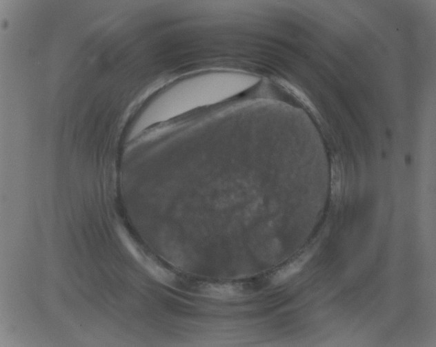 X0000081470349200702092345