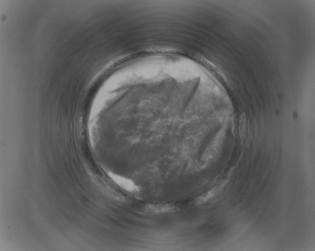 X0000081470351200702092345