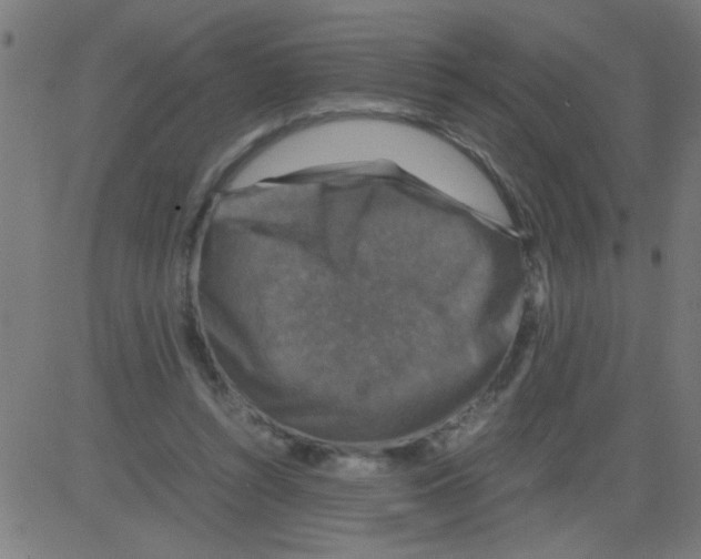 X0000081470352200702092345