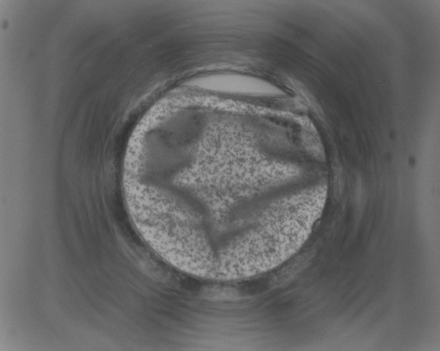 X0000081470354200702092345