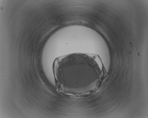 X0000081470356200702092345