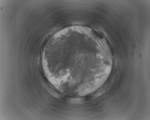 X0000081470357200702092345