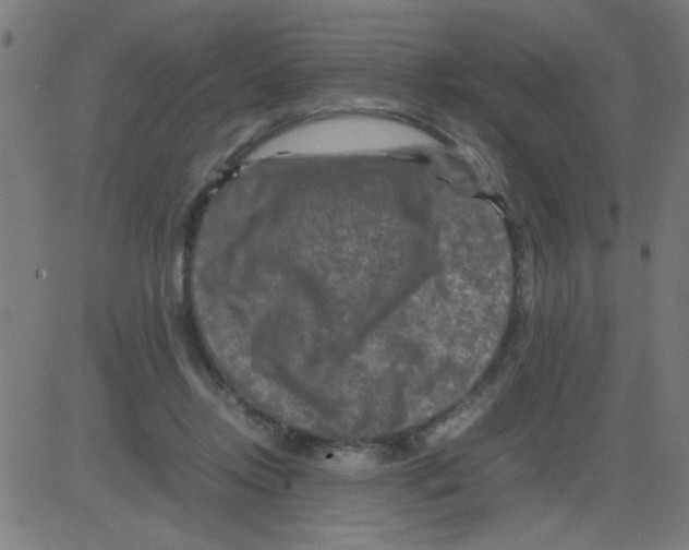 X0000081470358200702092345