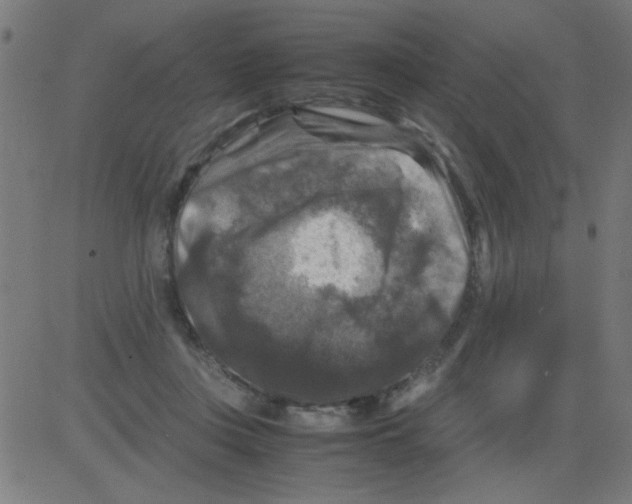 X0000081470359200702092345