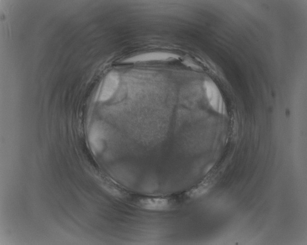 X0000081470361200702092346