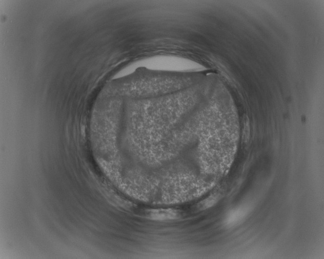 X0000081470363200702092346