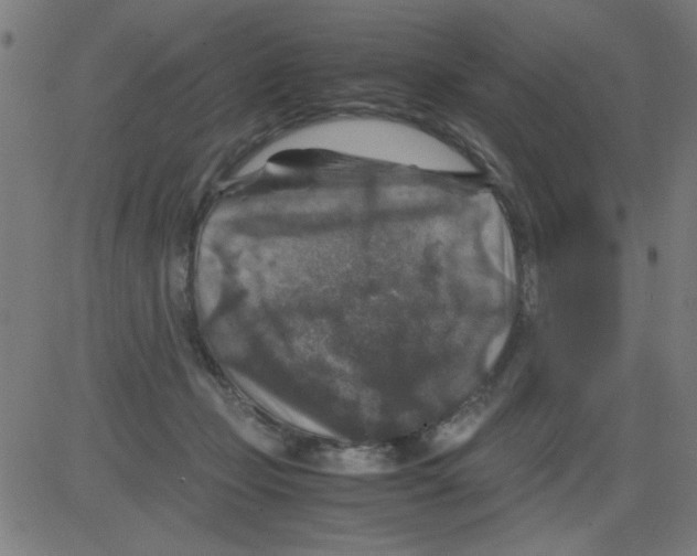 X0000081470365200702092346