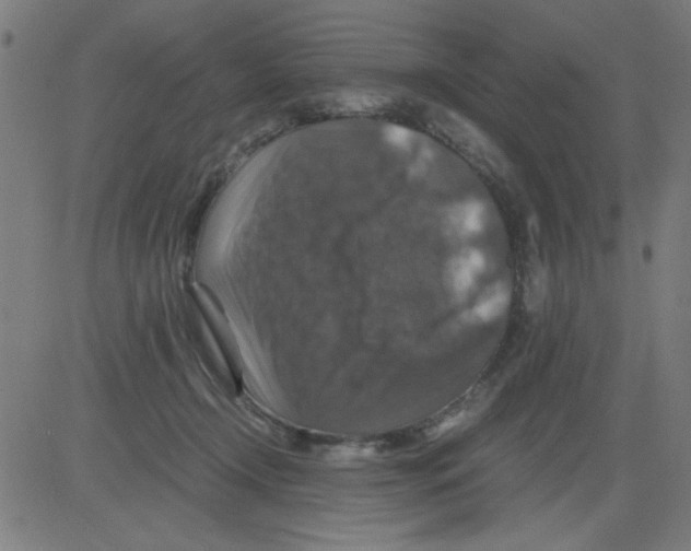 X0000081470366200702092346