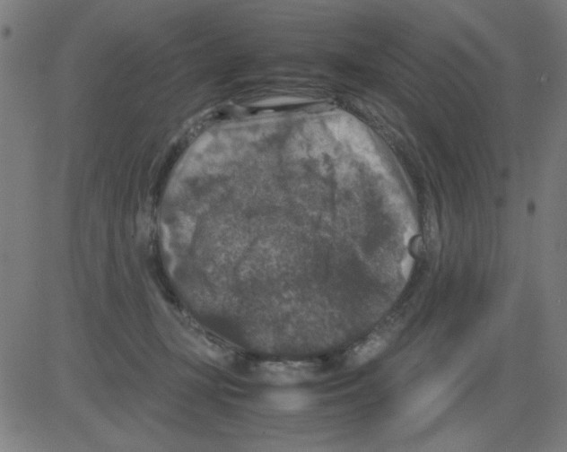 X0000081470367200702092346