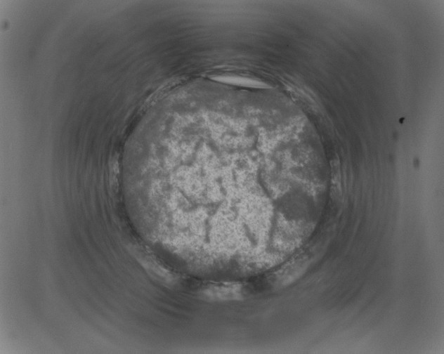 X0000081470369200702092346