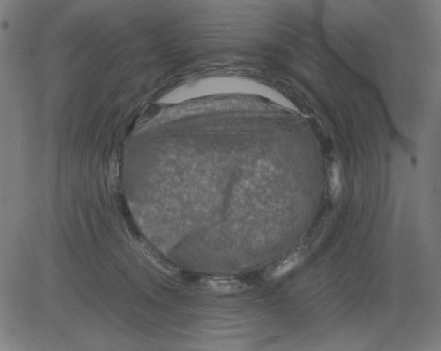 X0000081470372200702092346