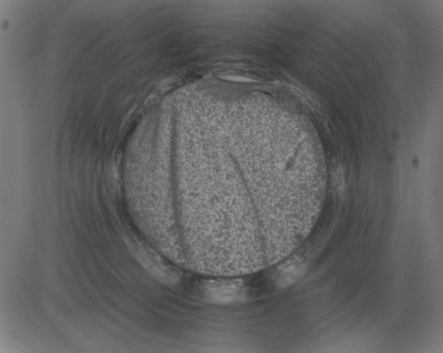 X0000081470373200702092346