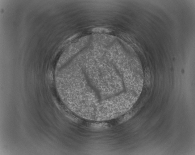 X0000081470375200702092346