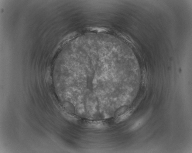 X0000081470377200702092346