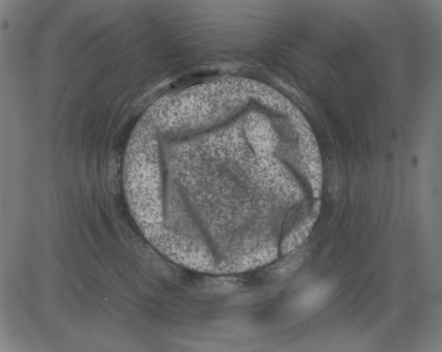 X0000081470378200702092346