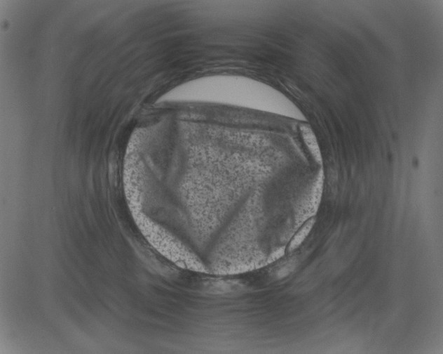 X0000081470379200702092346